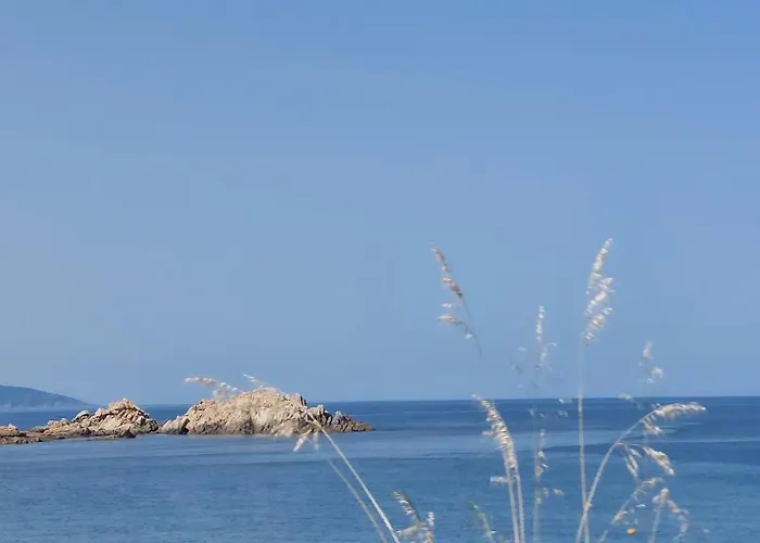Nouvel Location D'un Bel T2 Climatise Et Meuble Au Rdch Avec Piscine Dans Les Melody Santa-Maria-Poggio (Corsica)