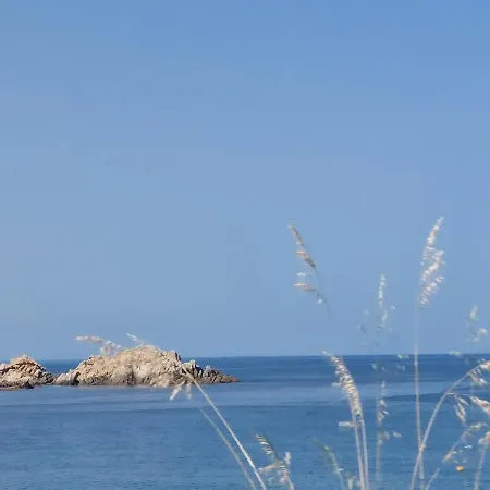 Nouvel Location D'un Bel T2 Climatisé Et Meublé Au Rdch Avec Piscine Dans Les Melody Santa-Maria-Poggio (Corsica)